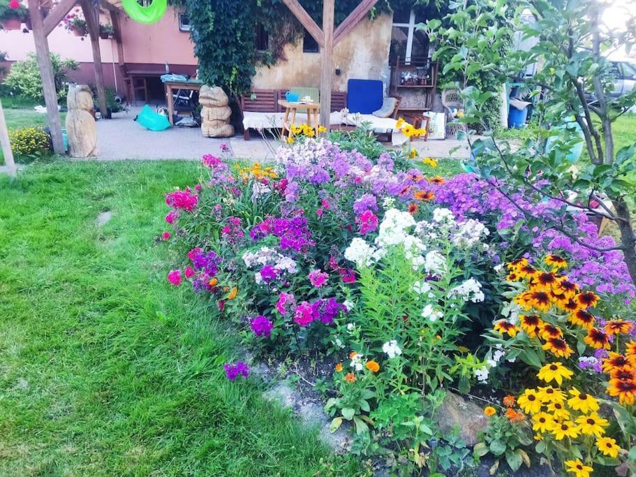 נובה מסטו פוד סמרקם Apartment In Blossom Garden מראה חיצוני תמונה